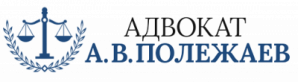 Адвокат Александр Полежаев